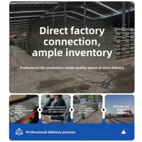 Carreaux de pavage en porcelaine modernes pour extérieur 300x600mm Antidérapants Semi-mat Résistants aux acides Antibactériens Garantie 5+ ans