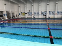 Fabrikpreis Langlebige Farbige Standard-Einbaupool-Schwimmstreifen aus PP-Material für Wettkämpfe