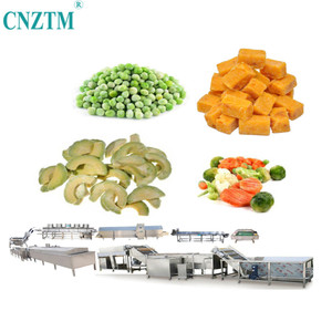 Commercial Automatic Cleaner Leafy Root Vegetables Salad Ozone Water Spray 200 500kg/H Vegetable Washing Machine Industrial
