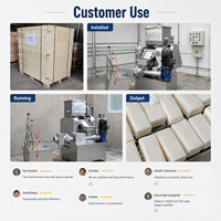 Machine d'extrusion de savon à petite échelle 20-200 kg/h pour la production à domicile, faible investissement, rendement élevé sur l'investissement
