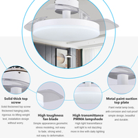 Ventilateur de plafond LED décoratif moderne de haute qualité pour intérieur, 6 vitesses de vent, 36 pouces, télécommande, pour salon