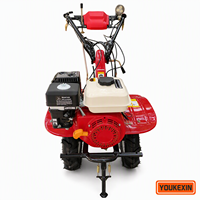 Nuevo Modelo 2026: Mini Motocultor de Gasolina con Accionamiento Directo, Tipo de Conexión Directa, Alto Torque, Doble Rodamiento para Suelo Rojo - Fabricante