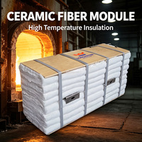 Ancres en acier inoxydable en gros pour l'installation rapide de modules en fibres céramiques dans les fours.