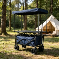 Chariot de camping extérieur pliable haut de gamme, écologique et étanche, avec auvent et plateau de table, pour le transport d'aliments au marché nocturne