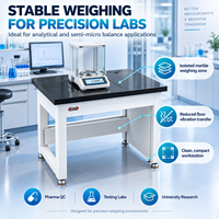Table de laboratoire d'analyse antivibrante en acier laminé à froid durable avec plateau en marbre en promotion