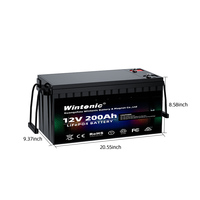 Batterie LiFePO4 12V 200Ah avec BMS intégré, cycle profond, pour camping-car, bateau solaire, moteur de pêche à la traîne, pack de batteries lithium-ion
