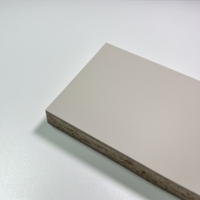 1220*2800mm RENOLIT PST Tecnología Tableros de partículas Premier Matt Series Paneles para diseño de interiores