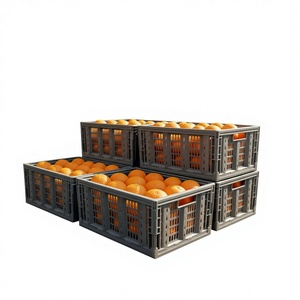 Sturdy Folding Plastic <strong>Crates</strong> <strong>for</strong> <strong>Apple</strong> and Pear Picking Seasons Collapsible Bins <strong>for</strong> Cold Storage Facilities - Product Image 4