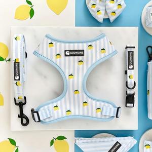 맞춤 자수 강아지 하네스 리드 조절 가능한 리드 강아지 훈련용 목줄 및 리드 세트 개인 맞춤형 노풀 강아지 하네스 - Product Image 3