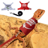 Harnais et laisse réglables pour reptiles et lézards, harnais de marche souple de type gilet pour dragon barbu