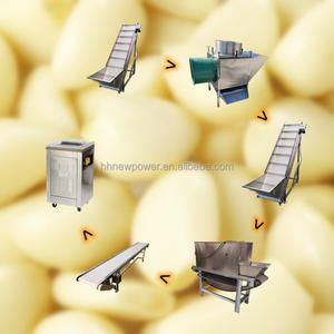 Máquina Automática para Hacer Pasta de Jengibre y Ajo de 300 kg, Peladora de Ajo, Línea de Producción de Frutas y Verduras - Product Image 2