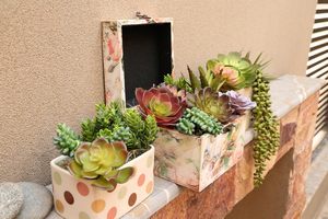Plantes succulentes artificielles durables et écologiques en bambou de qualité supérieure, sans pot, faux <span class=keywords><strong>cactus</strong></span>, verdure pour la décoration de bureau et extérieure - Product Image 3