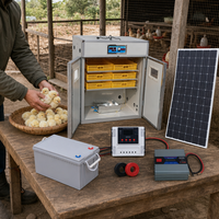 Couveuse industrielle d'oeufs de poule énergie solaire de machine d'oeufs à couver de double puissance