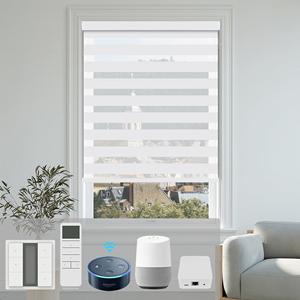 SAMADHI Custom Smart Automation Built-In Electric Window Roller Zebra Blinds Motorized Curtains Cordless Blind - Product Image 2