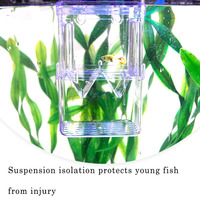 Boîte d'isolement de reproduction à double étage, aquarium de production, incubateur d'éclosion de poissons, aquarium en acrylique, réservoir de nurserie pour poissons