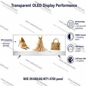 Écran interactif <span class=keywords><strong>OLED</strong></span> LCD transparent de <span class=keywords><strong>48</strong></span> pouces avec prise en charge de l'animation pour les centres commerciaux et les magasins de détail - Product Image 3