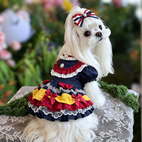 Expédition Rapide Vêtements pour Chiens Doux et Délicats de Marque de Luxe pour Animaux de Compagnie Accessoires Photo Charmants pour le Week-end