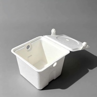 Boîte cadeau personnalisée en pulpe de papier de canne à sucre biodégradable et écologique de haute qualité pour l'électronique grand public