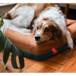 Housse imperméable marron pour lit de chien Dusk Dog Bed Lining - Product Image 5