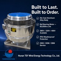 Ventilateur de toit industriel en aluminium, ventilateur axial pour entrepôt, usine, système d'évacuation de fumée, 220V/380V, garantie 1 an