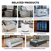 Congélateur à crème glacée commercial, type coffre, 2 portes, système de refroidissement direct, réfrigérant R290, 220V, écran LED numérique