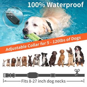 <span class=keywords><strong>Collar</strong></span> de entrenamiento para perros remoto sin golpes, rango de 3300 pies, resistente al agua, recargable, con vibración, Control de ladridos para perros pequeños y grandes, pitido - Product Image 3