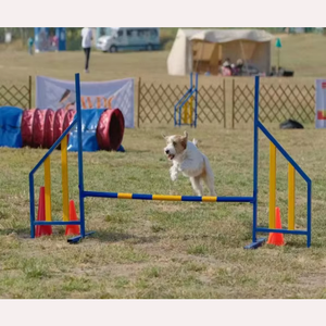 Salto de ala de agilidad de acero para perros Equipo de <span class=keywords><strong>entrenamiento</strong></span> de mascotas para obstáculos Salto de ala de metal para carreras de obstáculos caninos - Product Image 3