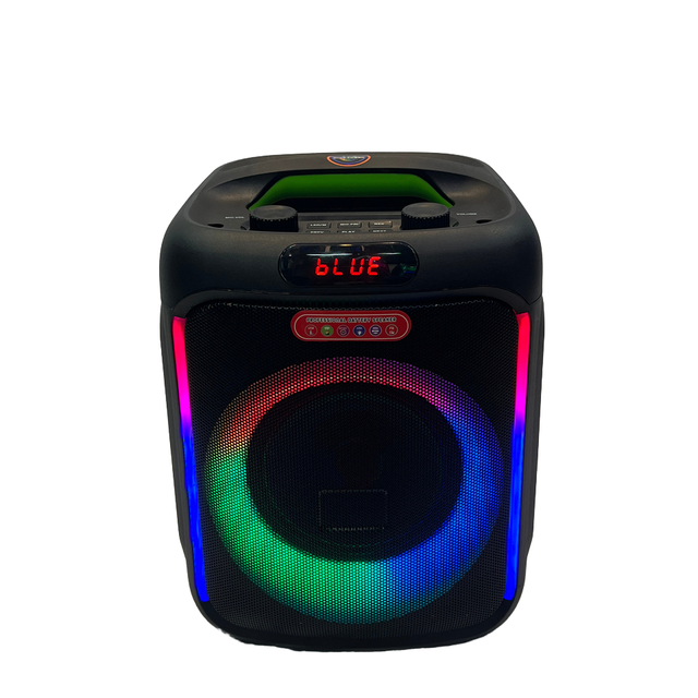 Portable 6.5 Inch Professional Plastic RGB Light Speaker for Home Karaoke & Outdoor Parties Entertainment