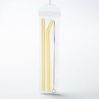 Kit de Voyage Portable Écologique en Gros : Ensemble de 3 Pailles en Verre Réutilisables (1 Droite, 1 Courbe) et 1 Brosse de Nettoyage dans un Sac Zippé Étanche