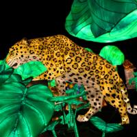Lanternes de dinosaures pour l'extérieur et l'intérieur, décoration de festival, imperméables, faites à la main, en acier et tissu de soie, lumières LED, décoration de parcs et d'événements
