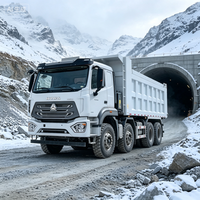 Truk Tambang HOWO NX 8X4 Lengkap dengan Suku Cadang Purna Jual, Dukungan Suku Cadang untuk Truk Dump Tugas Berat bagi Pembeli Luar Negeri