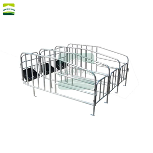 Nhà máy để bán chất lượng tốt Mang Thai Thùng bút cho lợn nái mang thai gian hàng gieo mang thai lồng - Product Image 4