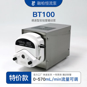 Pompe à débit constant Rongbai BT100, pompe péristaltique, moteur pas à pas, haute précision, utilisation en laboratoire - Product Image 3