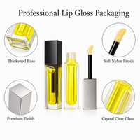 Flacon de brillant à lèvres en verre carré de 10 ml à fond épais, transparent givré, avec bouchon applicateur, emballage cosmétique personnalisé avec logo