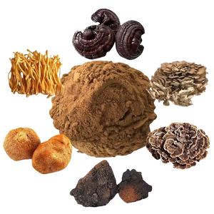 Sıcak satış gıda sınıfı Ganoderma özü tozu mantar tozu organik bitkisel aslanlar yele anında Ganoderma tozu - Product Image 1
