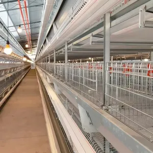 निर्माण बिक्री स्वत: औद्योगिक सस्ते परत बड़े पोर्टेबल चिकन कॉप घर के लिए विवाद के पिंजरे बिछाने मुर्गियाँ चलाने कॉप धातु गर्म 10