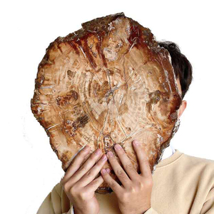 Grande plaque de cristal fossile brun naturel écologique de 30-40 cm, polie, pour la décoration artistique et les objets de collection - Product Image 1