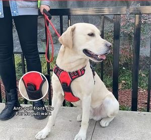 Sport-Haustierzubehör Verstellbares Modisches Gepolstertes Nylon-Hundegeschirr Halsband im Taktischen Stil Haustierleine Kleine Größe Großhandel - Product Image 6