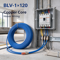 Fil de construction en aluminium massif Yedao BLV-1X120, bobine isolée en PVC 120 mm, 0,6/1 kV, bleu