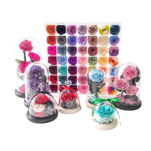 Scatola Regalo Fiore Eterno del Piccolo <span class=keywords><strong>Principe</strong></span>, Fiore Essiccato con Copertura in Acrilico/Vetro, 1 Stelo - Product Image 5