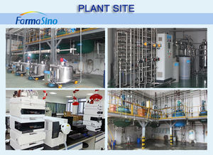 L-treonina 98,5 Treonina da alimentação animal do porco CAS 72-19-5 da alimentação animal do porco de China - Product Image 6