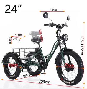 Nouveau tricycle électrique à 3 roues pour personnes âgées, <span class=keywords><strong>2</strong></span> places, moteur avant 750W, batterie lithium, 7 vitesses, pneus larges - Product Image 4