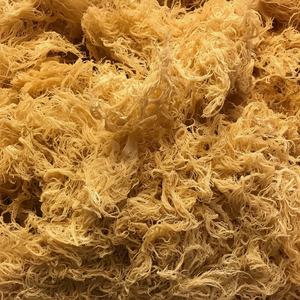 Musgo Marino de Vietnam |   Suministro a Granel de Ingredientes Secos y Sazonados |   Procesamiento de Grado de Exportación |   Bolsa de 25kg-50kg |   Listo para Usar - Product Image 1