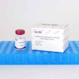 Kit per il Test dell'agglutinazione della Salmonella Abortus Equi | Reagente diagnostico veterinario ad alta specificità per l'aborto equino - Product Image 3