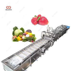 Continuously Fruit Pressure Water Spray Cleaning Machine Vegetables And Fruits Washing Machine Capacity 15.000 Kg