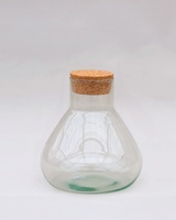 Kit de démarrage de terrarium en verre pour plantes, pour jardin ou pour bureau, décoration murale, bricolage, design moderne