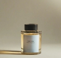 Diffuseur à bâtonnets 50 ml, parfum d'ambiance personnalisé, aromathérapie, désodorisant d'intérieur, parfum décoratif pour la maison, vente en gros