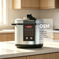 Nouvelle Cocotte-minute Électrique Intelligente en Acier Inoxydable de 5 Litres pour Usage Domestique, Modèle 2026