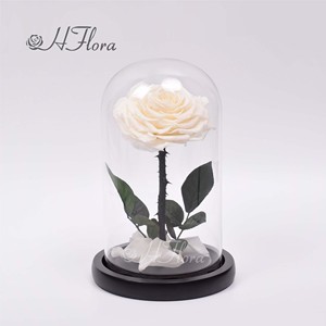 هورد بسعر الجملة-عناصر الهدايا الفاخرة هدية فاخرة مع الحفاظ على الملاكمة في قبة زجاجية - Product Image 3