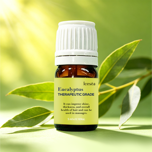 Huile Essentielle Pure Icesea avec Arbre à Thé, Menthe Poivrée, Lavande et Eucalyptus - Bienfaits Antibactériens et d'Aromathérapie OEM/ODM - Product Image 1